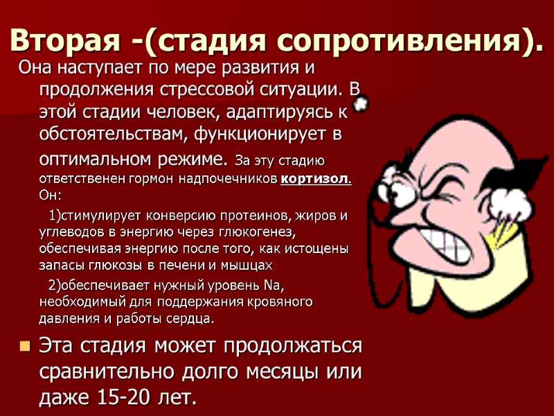 Вторая -(стадия сопротивления). Она наступает по мере развития и продолжения стрессовой ситуации. В этой